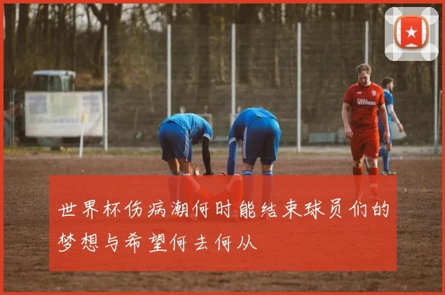 世界杯伤病潮何时能结束球员们的梦想与希望何去何从