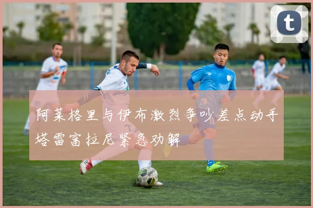 阿莱格里与伊布激烈争吵差点动手塔雷富拉尼紧急劝解
